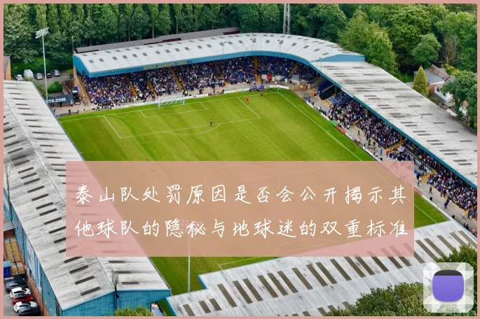 泰山队处罚原因是否会公开揭示其他球队的隐秘与地球迷的双重标准